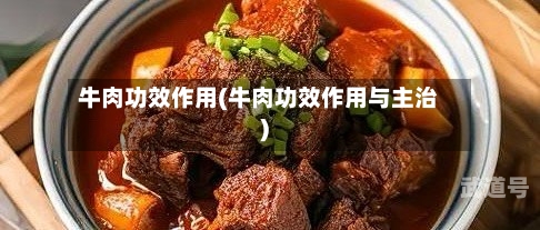 牛肉功效作用(牛肉功效作用与主治)