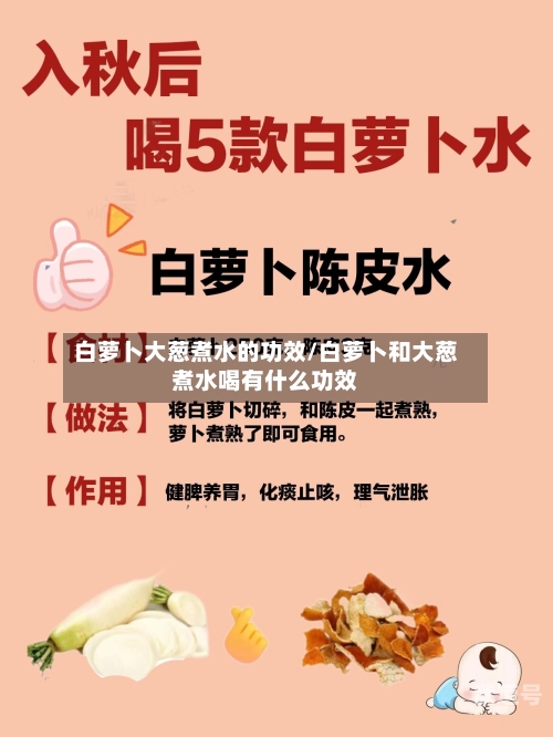 白萝卜大葱煮水的功效/白萝卜和大葱煮水喝有什么功效