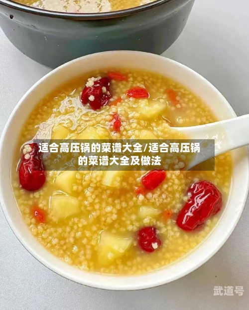 适合高压锅的菜谱大全/适合高压锅的菜谱大全及做法