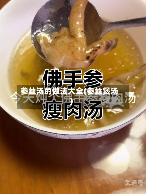 参丝汤的做法大全(参丝煲汤)