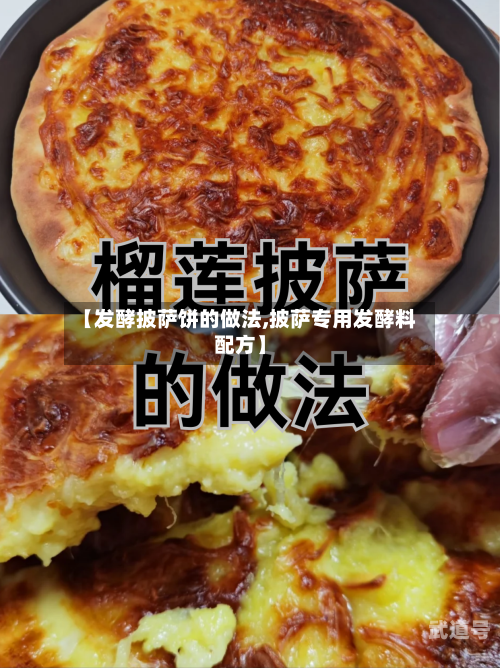 【发酵披萨饼的做法,披萨专用发酵料配方】