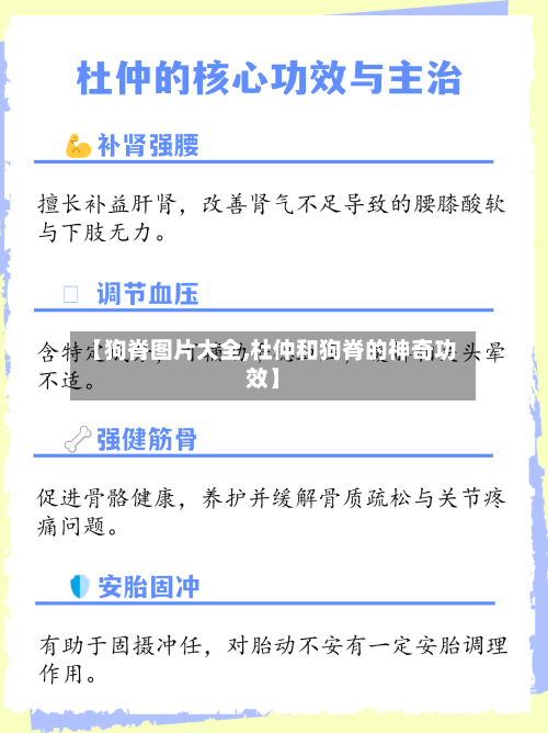 【狗脊图片大全,杜仲和狗脊的神奇功效】