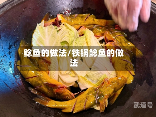 鲶鱼的做法/铁锅鲶鱼的做法