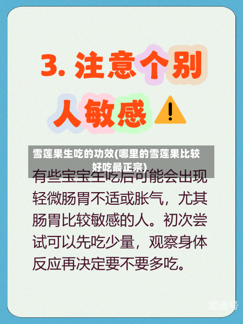 雪莲果生吃的功效(哪里的雪莲果比较好吃最正宗)