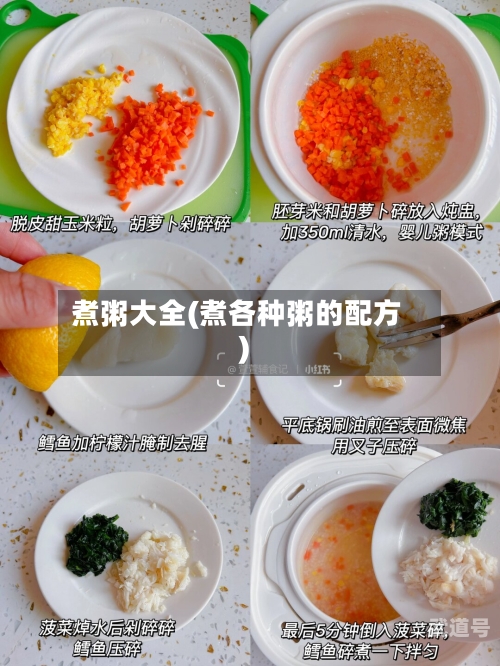 煮粥大全(煮各种粥的配方)