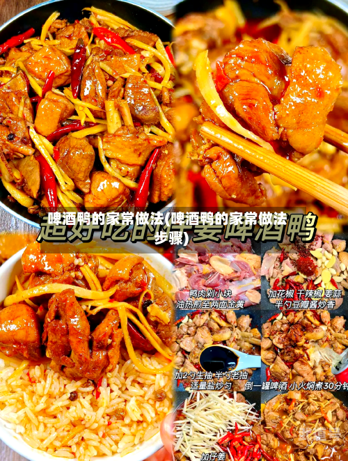 啤酒鸭的家常做法(啤酒鸭的家常做法步骤)