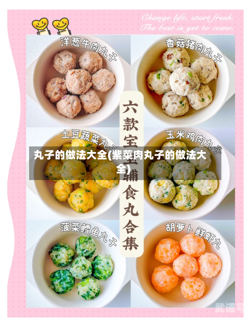 丸子的做法大全(紫菜肉丸子的做法大全)