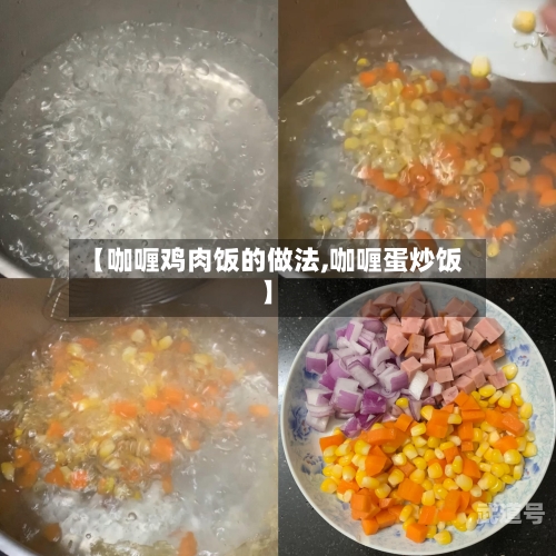 【咖喱鸡肉饭的做法,咖喱蛋炒饭】