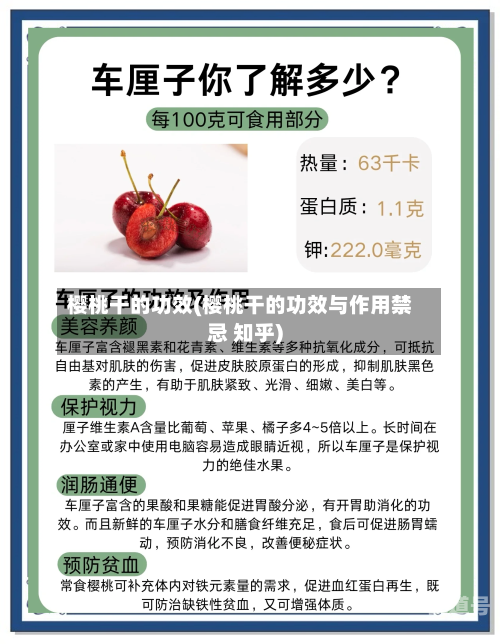樱桃干的功效(樱桃干的功效与作用禁忌 知乎)