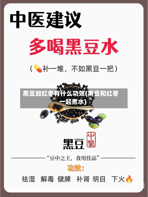 黑豆加红枣有什么功效(黑豆和红枣一起煮水)