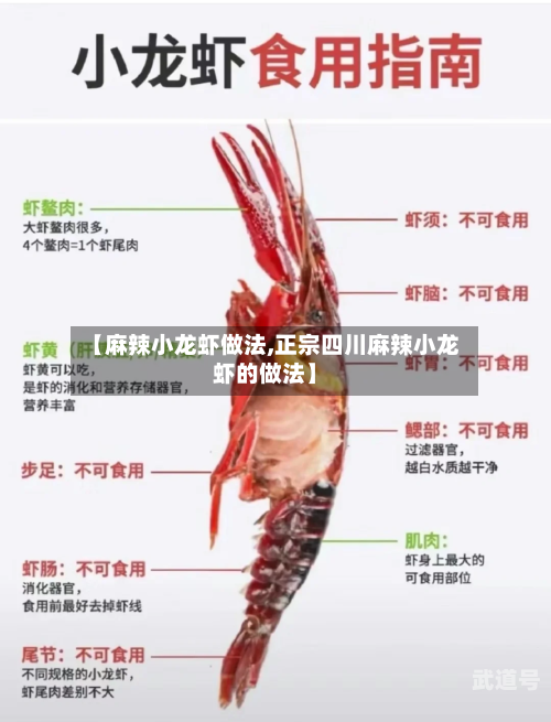 【麻辣小龙虾做法,正宗四川麻辣小龙虾的做法】