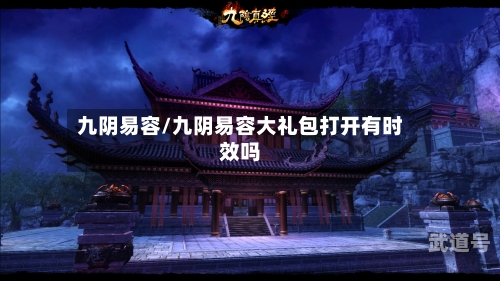 九阴易容/九阴易容大礼包打开有时效吗