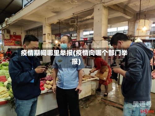 疫情期间哪里举报(疫情向哪个部门举报)