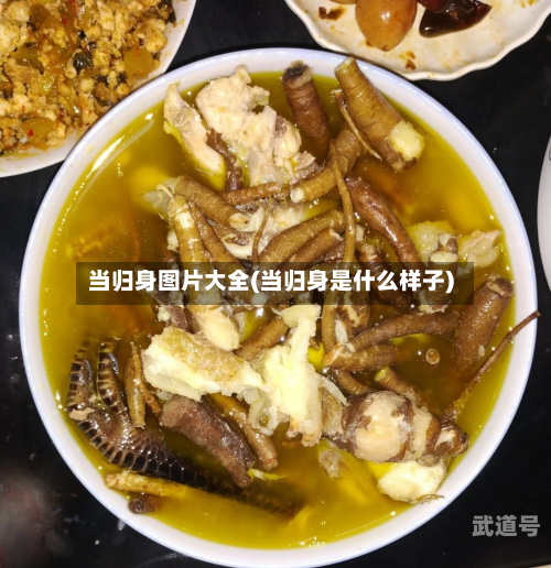 当归身图片大全(当归身是什么样子)