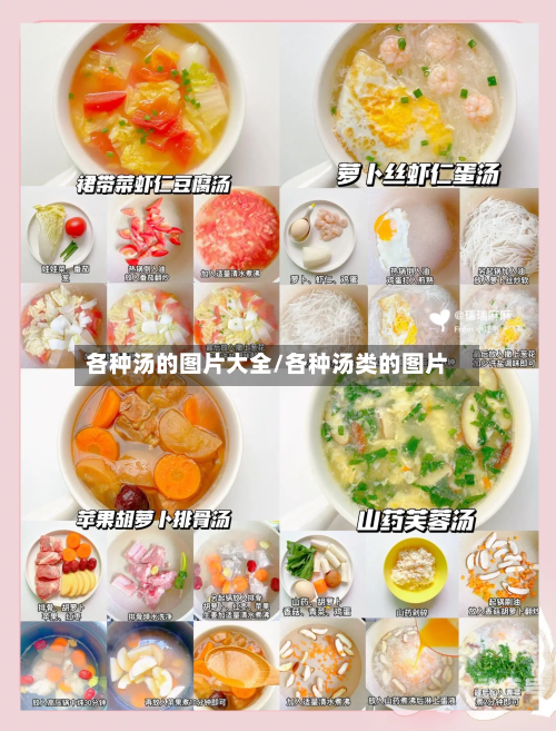 各种汤的图片大全/各种汤类的图片