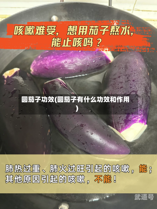 圆茄子功效(圆茄子有什么功效和作用)