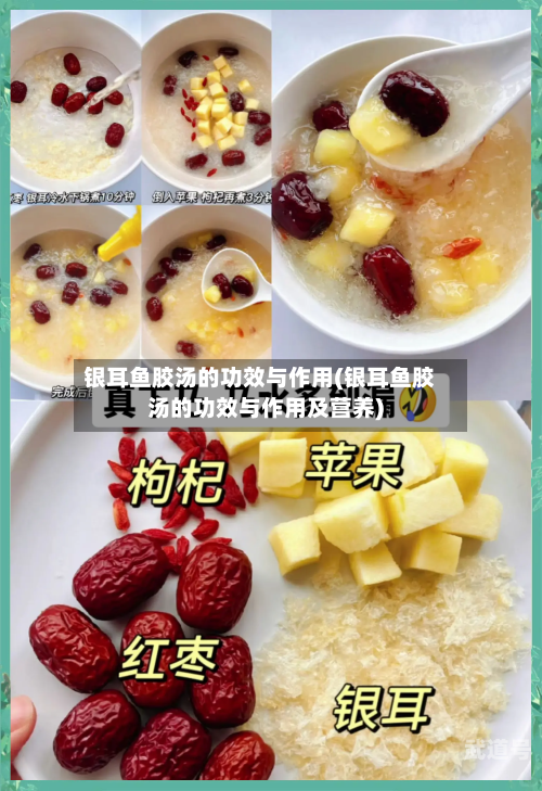 银耳鱼胶汤的功效与作用(银耳鱼胶汤的功效与作用及营养)