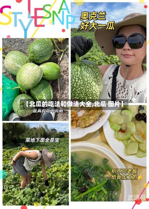 【北瓜的吃法和做法大全,北瓜 图片】