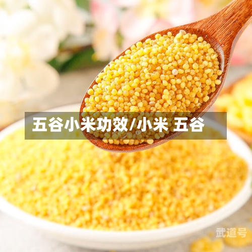 五谷小米功效/小米 五谷