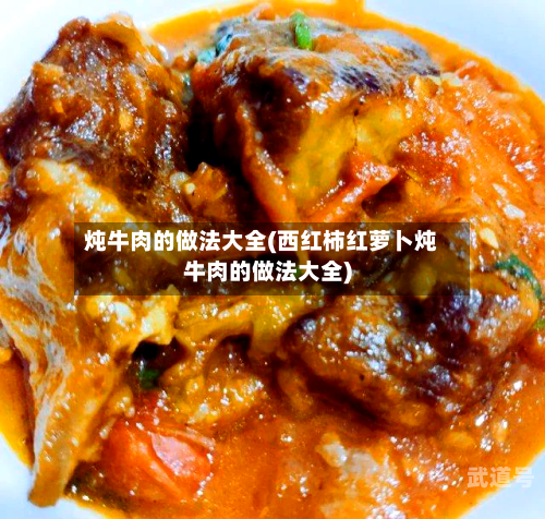 炖牛肉的做法大全(西红柿红萝卜炖牛肉的做法大全)