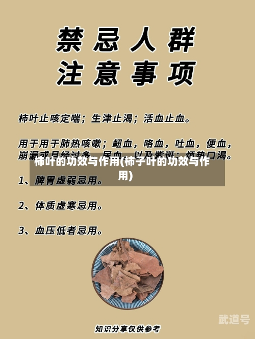 柿叶的功效与作用(柿子叶的功效与作用)