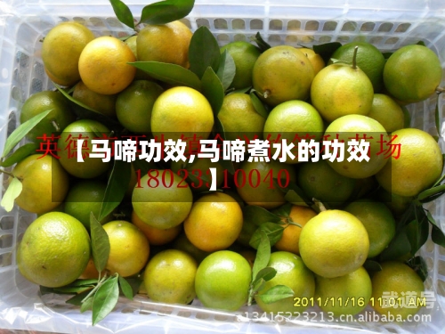 【马啼功效,马啼煮水的功效】