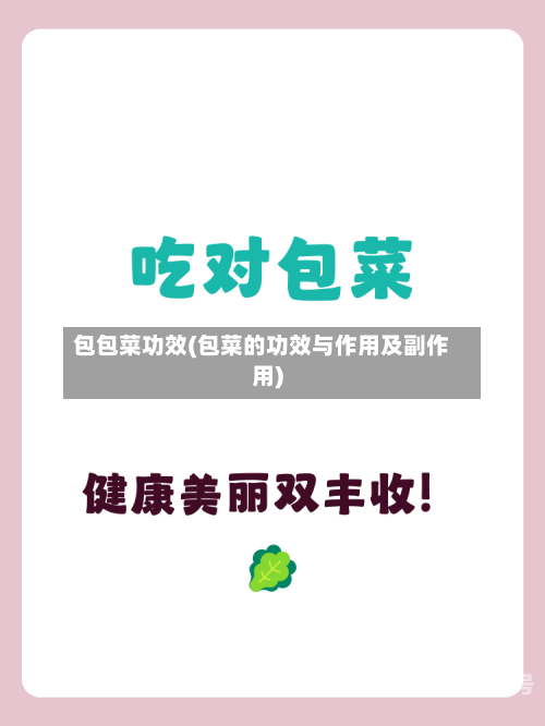 包包菜功效(包菜的功效与作用及副作用)