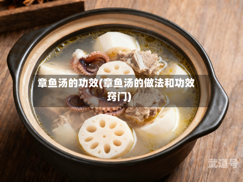 章鱼汤的功效(章鱼汤的做法和功效窍门)