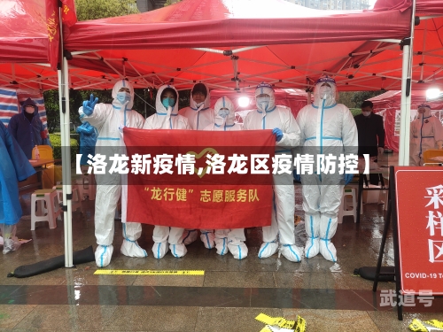 【洛龙新疫情,洛龙区疫情防控】
