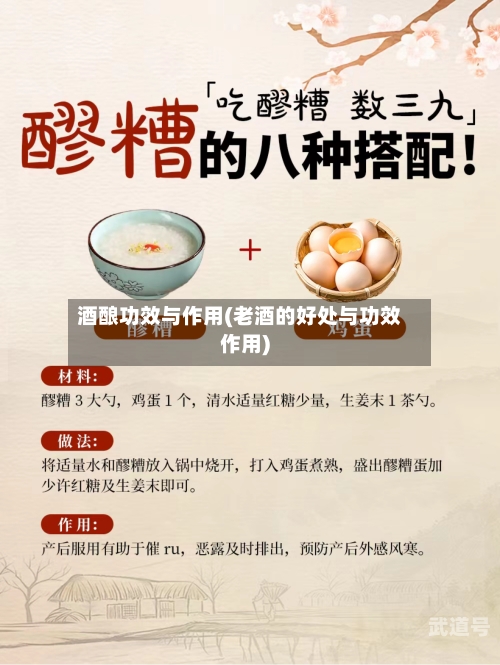 酒酿功效与作用(老酒的好处与功效作用)
