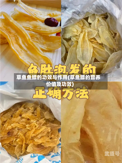 草鱼鱼鳔的功效与作用(草鱼膘的营养价值及功效)