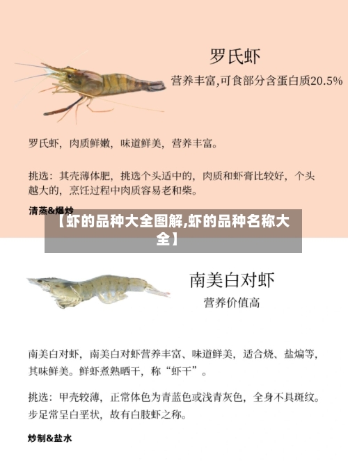 【虾的品种大全图解,虾的品种名称大全】