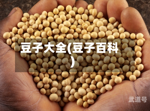 豆子大全(豆子百科)
