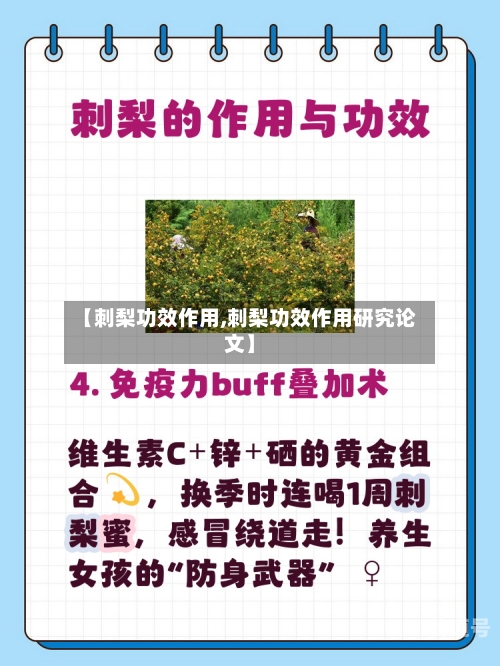 【刺梨功效作用,刺梨功效作用研究论文】