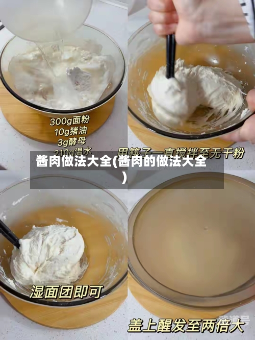 酱肉做法大全(酱肉的做法大全)