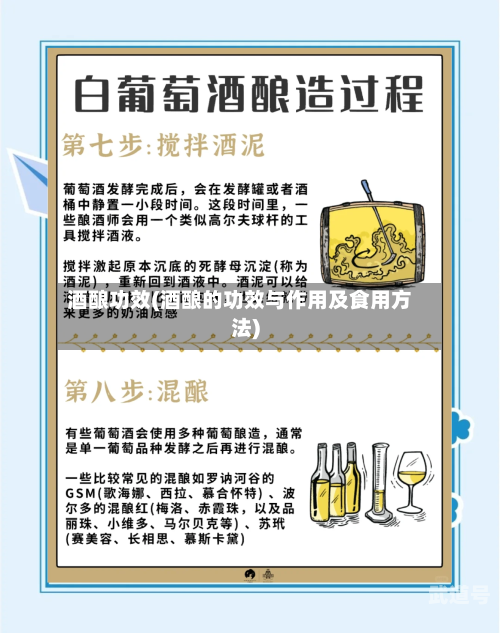 酒酿功效(酒酿的功效与作用及食用方法)