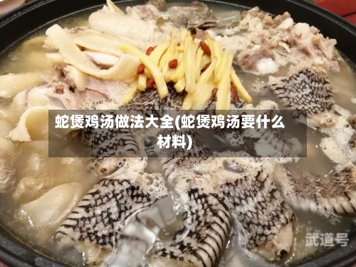 蛇煲鸡汤做法大全(蛇煲鸡汤要什么材料)