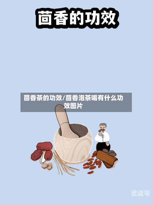 茴香茶的功效/茴香泡茶喝有什么功效图片