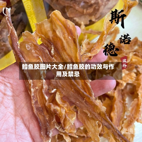 鳕鱼胶图片大全/鳕鱼胶的功效与作用及禁忌