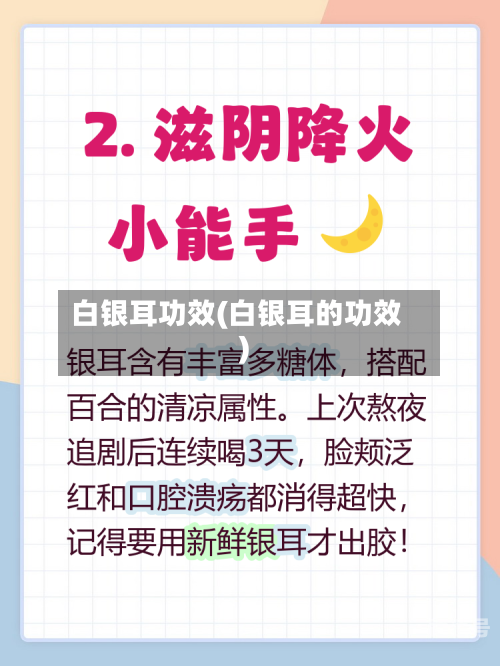 白银耳功效(白银耳的功效)