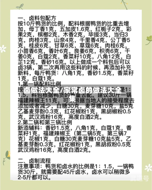 卤做法大全/家常卤的做法大全集
