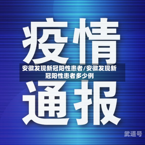 安徽发现新冠阳性患者/安徽发现新冠阳性患者多少例