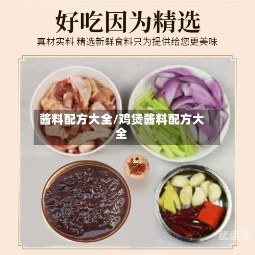 酱料配方大全/鸡煲酱料配方大全