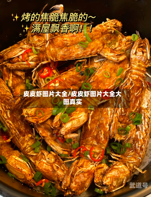 皮皮虾图片大全/皮皮虾图片大全大图真实