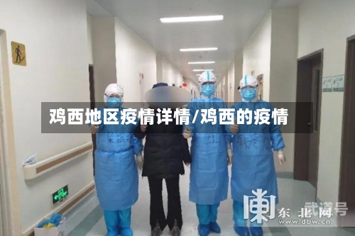 鸡西地区疫情详情/鸡西的疫情