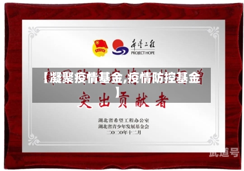 【凝聚疫情基金,疫情防控基金】