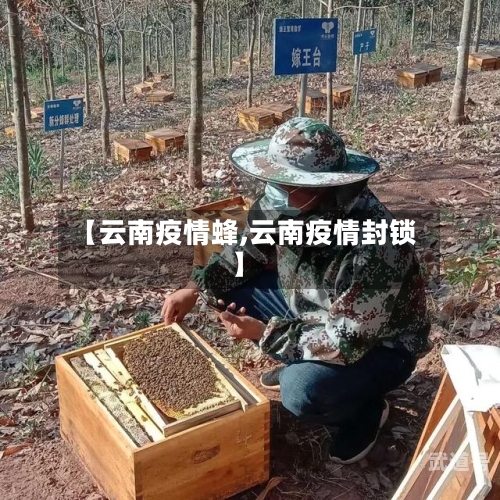 【云南疫情蜂,云南疫情封锁】
