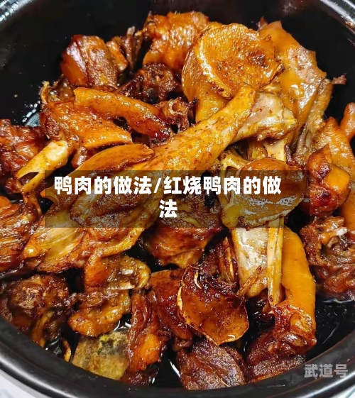 鸭肉的做法/红烧鸭肉的做法
