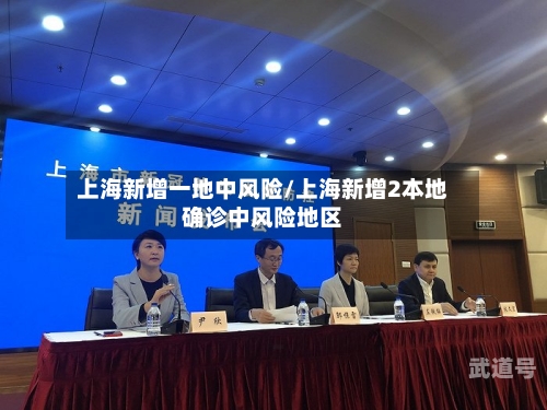 上海新增一地中风险/上海新增2本地确诊中风险地区