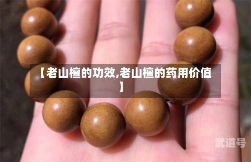 【老山檀的功效,老山檀的药用价值】
